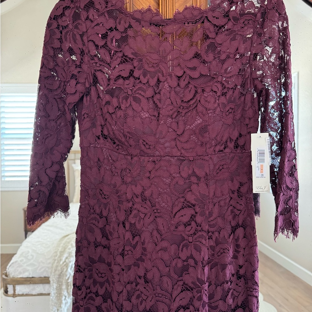 Eliza J Lace Wedding Guest Dress Size 2 New with Tags — Stunning and Beautiful